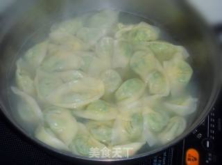 【百变面食】在家做馄饨---菜心猪肉馄饨的做法步骤：15
