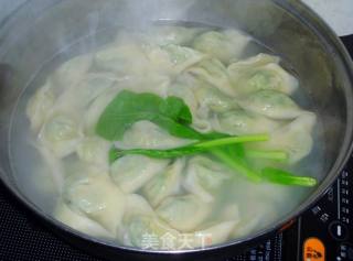 【百变面食】在家做馄饨---菜心猪肉馄饨的做法步骤：16