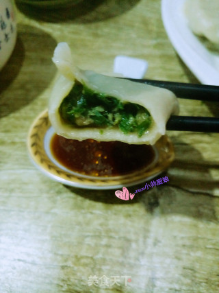 韭菜猪肉水饺~韭菜猪肉饺子的做法