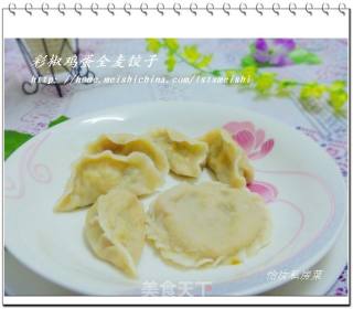 【家常主食】健康主食---彩椒鸡蛋全麦饺子的做法步骤：15