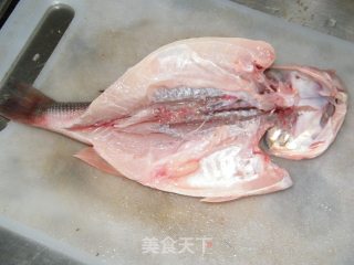 清蒸鲈鱼的做法步骤：2