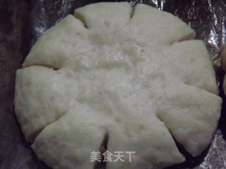 燕麦红糖包的做法步骤：6
