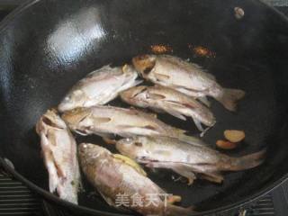鲫鱼烧田螺的做法步骤：3