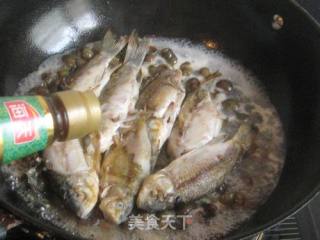 鲫鱼烧田螺的做法步骤：5