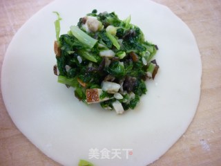 青菜蒸饺的做法步骤：4