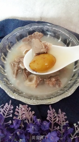 【广东】猪肺橄榄汤的做法
