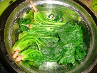 姜汁菠菜卷的做法步骤：5