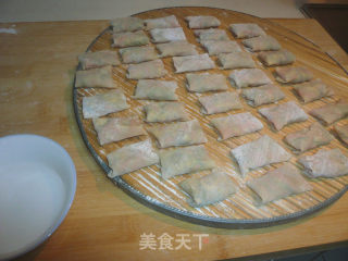 用馄饨皮做春卷的做法步骤：3