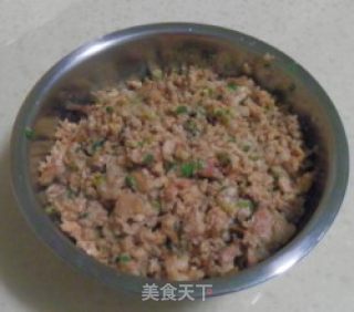迷彩南瓜-肉包子的做法步骤：10