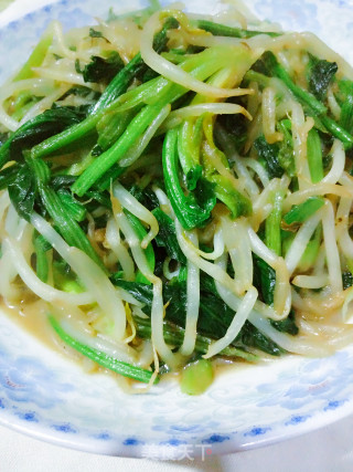 【辽宁】菠菜小炒豆芽菜的做法