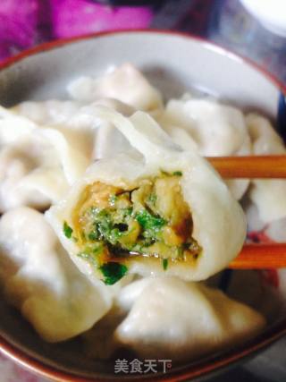 香菜猪肉饺的做法