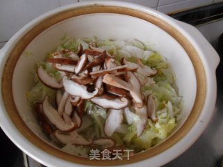 鸡丝白菜豆腐汤的做法步骤：7