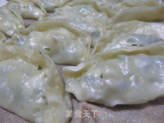 【开封】特色小吃－烫面蒸饺