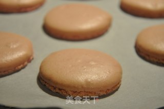 栗子奶油马卡龙 - 马卡龙的必成公式的做法步骤：12