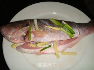 香辣鲈鱼的做法步骤：3