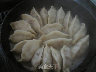 萝卜肉馅锅贴的做法步骤：5