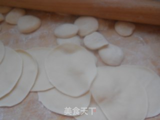 冬天里的温暖——羊肉胡萝卜水饺的做法步骤：8