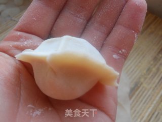 冬天里的温暖——羊肉胡萝卜水饺的做法步骤：13
