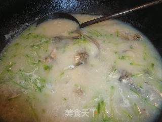 鲫鱼萝卜汤的做法步骤：4