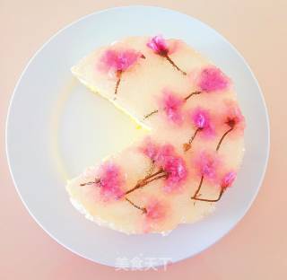 鹿小鹿——樱花芝士蛋糕的做法