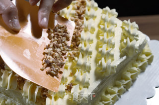 咸奶油蛋糕  德普烘焙实验室