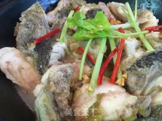 冬菜焖苏鼠斑的做法
