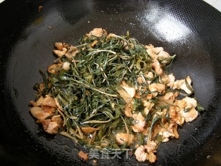 山间野味——肉片柳蒿芽的做法步骤：7