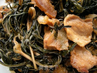 山间野味——肉片柳蒿芽的做法步骤：8