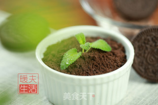 酸奶盆栽的做法