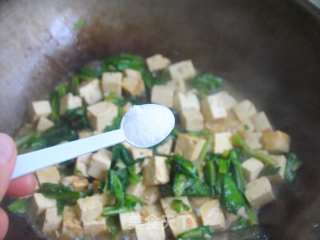[生活的另一种滋味]清爽，清甜——油麦菜炖豆腐的做法步骤：9