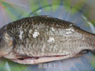 家常鲫鱼的做法步骤：2