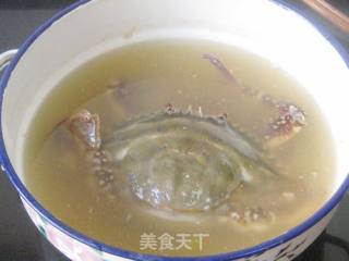 盐卤水腌肓蟹的做法步骤：8