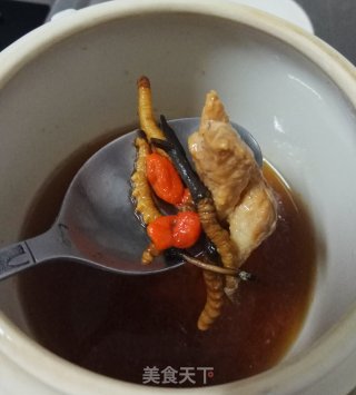 枸杞炖虫草的做法