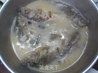 鲫鱼汤的做法步骤：7