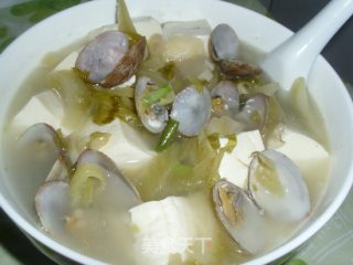 咸菜豆腐贝汤的做法步骤：9