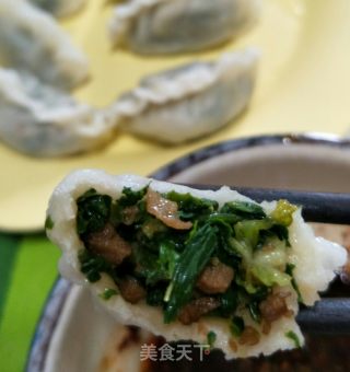 荠菜饺子的做法