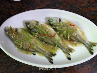 豆酱蒸细鳞鯻的做法