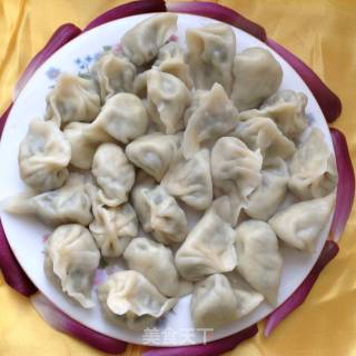 野生刺儿菜饺子的做法