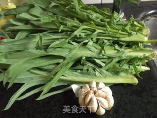 蒜蓉炒苦麦菜的做法步骤：1