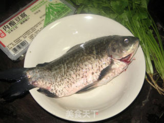 鲫鱼芫荽豆腐汤的做法步骤：1