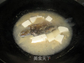 鲫鱼芫荽豆腐汤的做法步骤：6