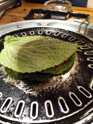 苏子叶烤肉的做法