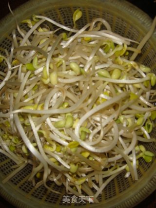 黄豆酱拌炒黄豆芽的做法步骤：2