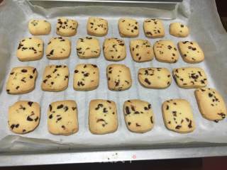 蔓越莓饼干的做法