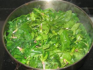 菠菜炒白虾的做法步骤：5
