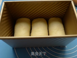 紧跟超软风----卡仕达超软土司的做法步骤：5