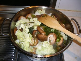 大白菜炖豆腐的做法步骤：8