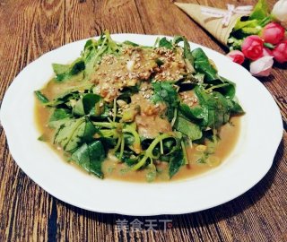 麻酱荆芥的做法
