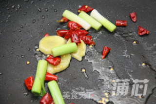 【蒲芯厨房】冬日浓油赤酱，最爱红烧肉的做法步骤：4