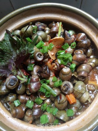 田中之王的做法